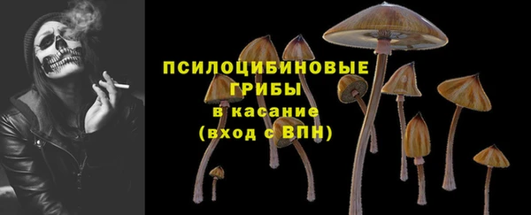 прущие крисы Богданович