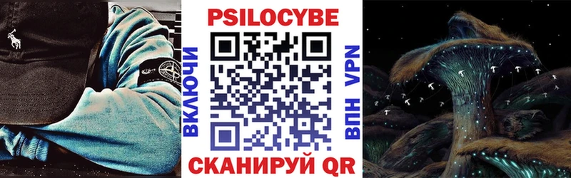 Галлюциногенные грибы Psilocybe  закладки  Ивантеевка 