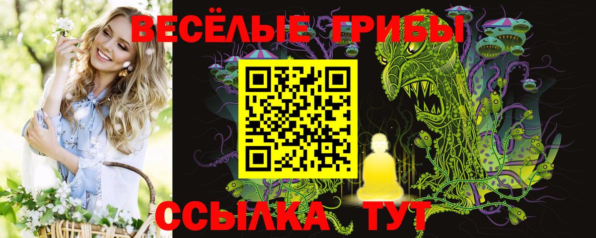 Псилоцибиновые грибы мухоморы  Ивантеевка  Псилоцибиновые грибы GOLDEN TEACHER 