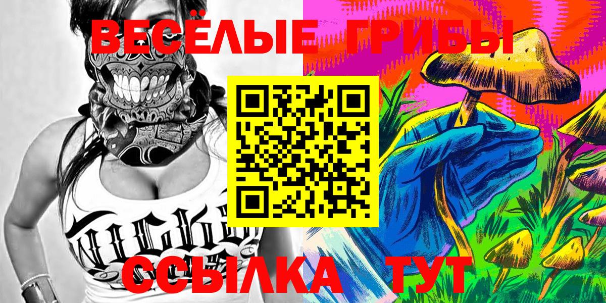 Галлюциногенные грибы Psilocybe  Псилоцибиновые грибы Cubensis  Ивантеевка  Вход с VPN 