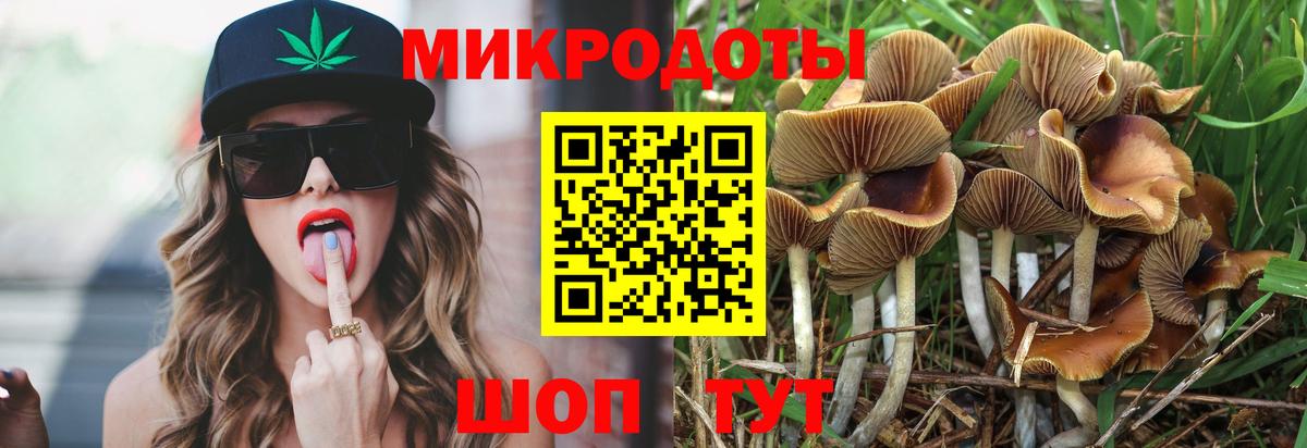 Псилоцибиновые грибы мицелий Ивантеевка